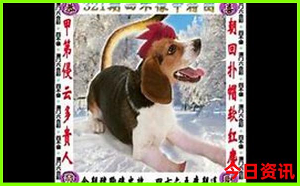 厦门周边一日游必去景点
